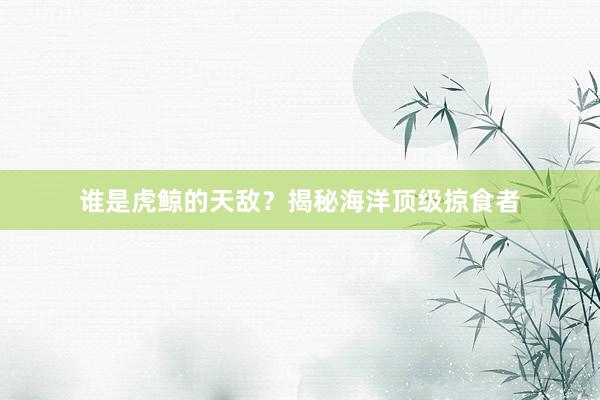 谁是虎鲸的天敌？揭秘海洋顶级掠食者