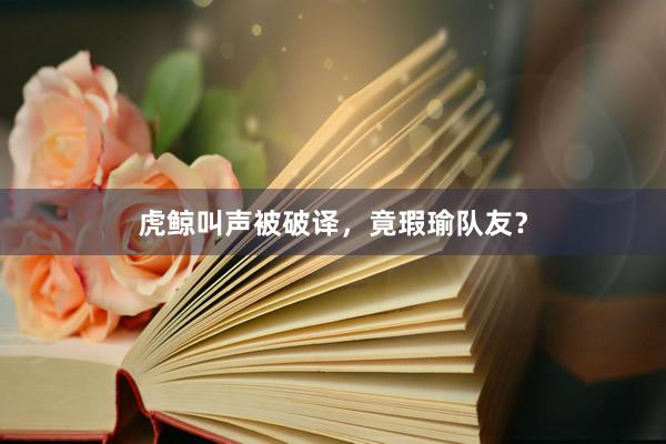 虎鲸叫声被破译，竟瑕瑜队友？